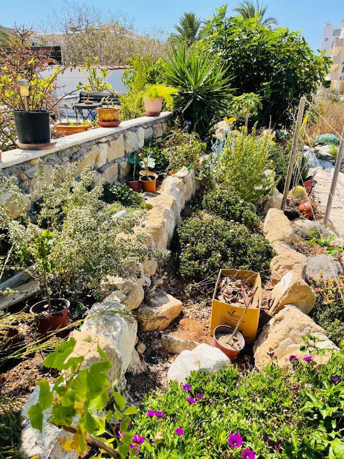 Appartamento Peaceful Townhouse With Private Pool Near The Sea Paphos Esterno foto